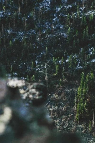 BECE 2022 Solutions (Free Sample)